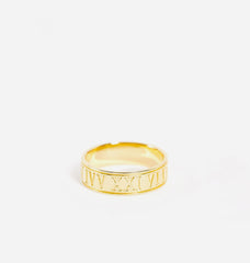 Naminos dementus a dincidunto